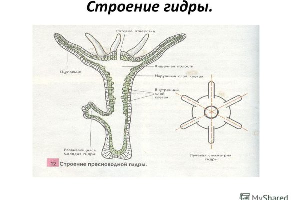 Кракен шоп зеркало